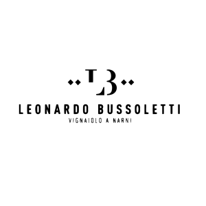 Picture of Bussoletti